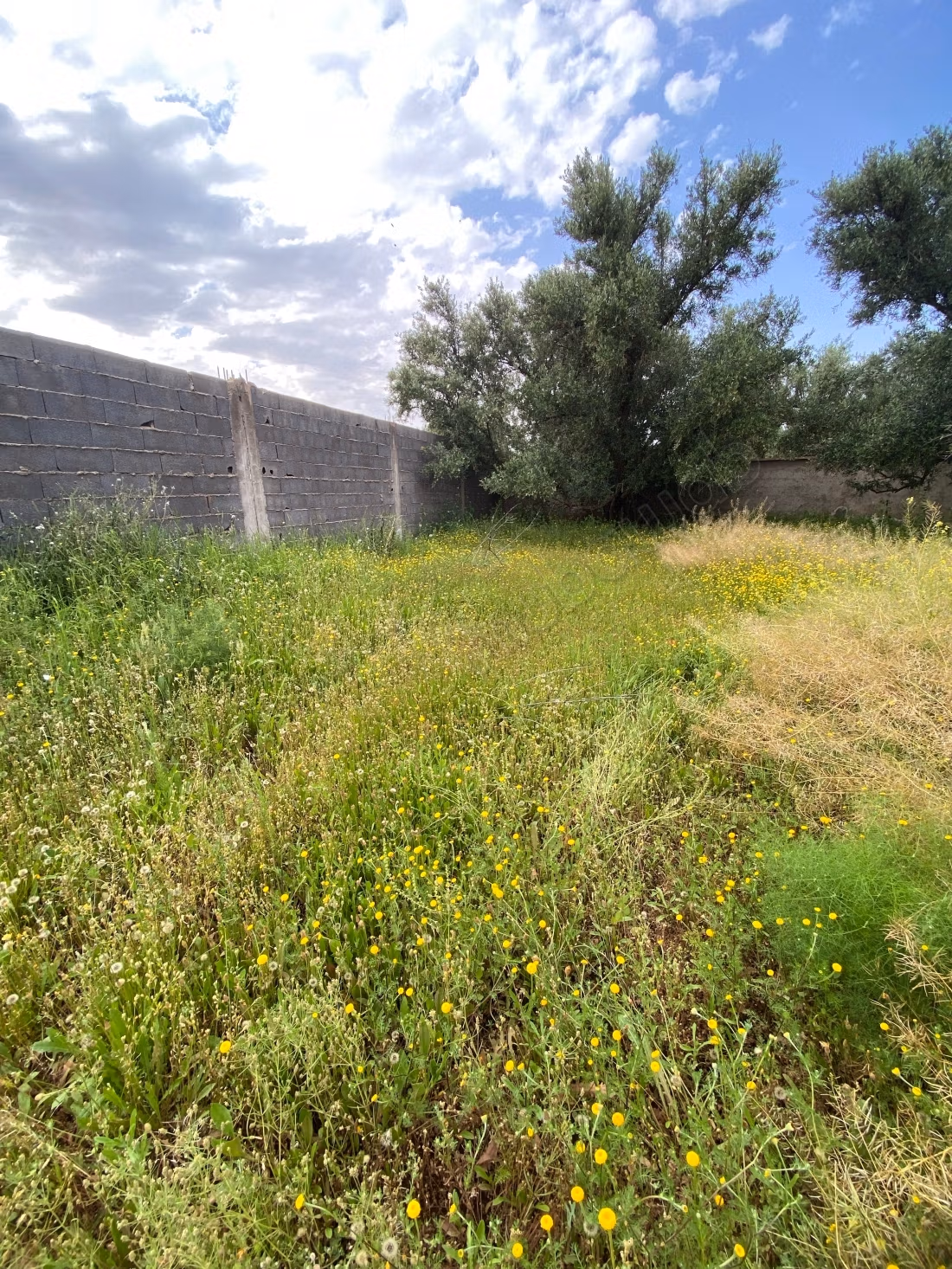 Terreno en venta. Gran superficie 3312 m²