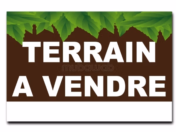Terrain de 300 m, hay riad