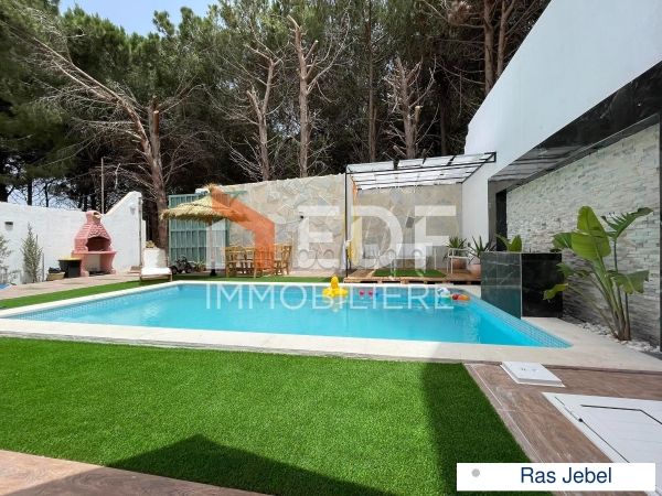 A Louer belle villa avec piscine à Ras Jebel