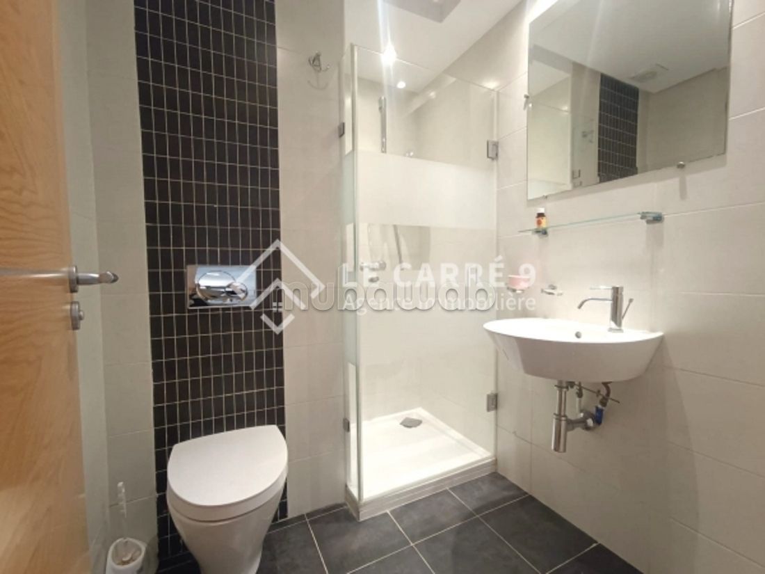 A louer un loft S2 au Lac 2