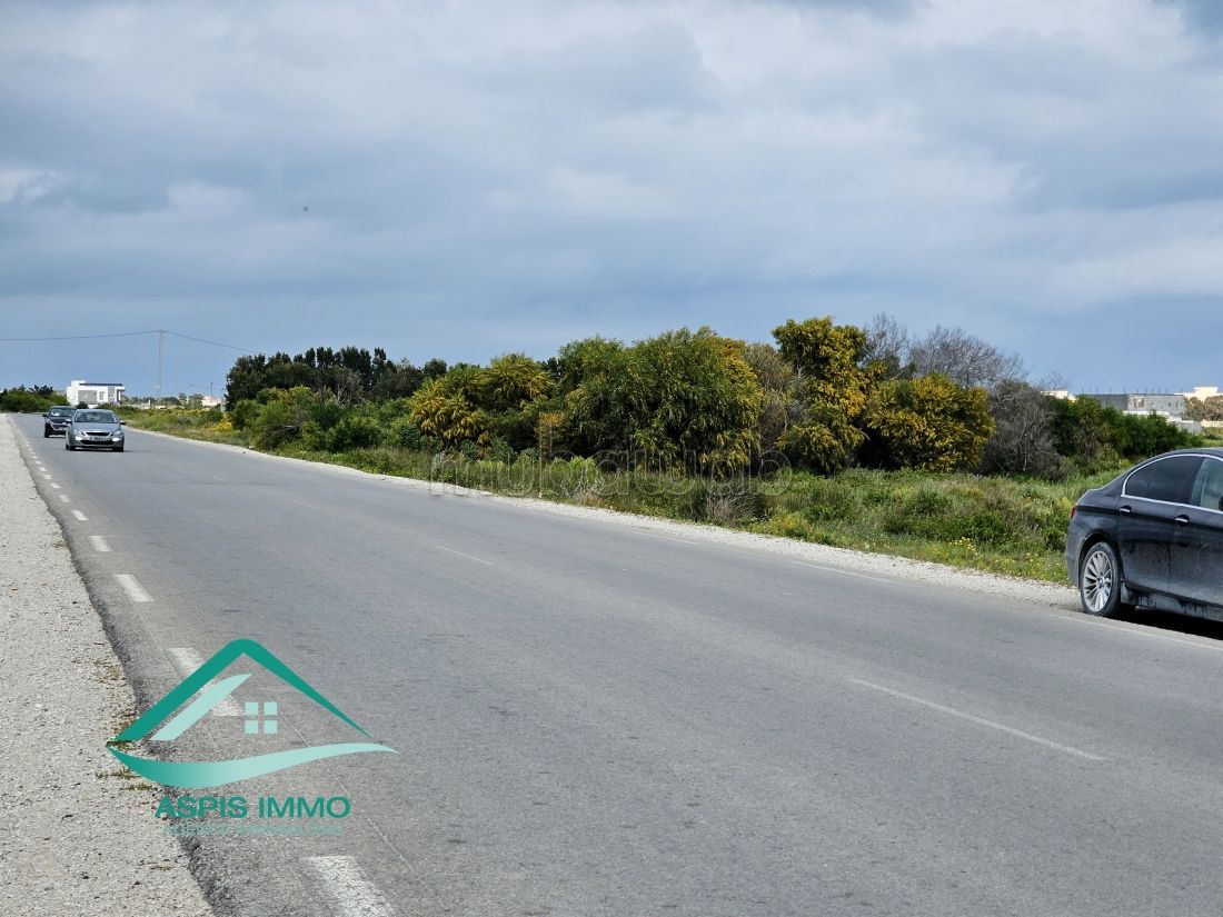 Terrain 1000 m² route de ceinture Kelibia