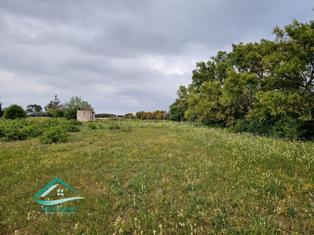 Terrain 1000 m² route de ceinture Kelibia