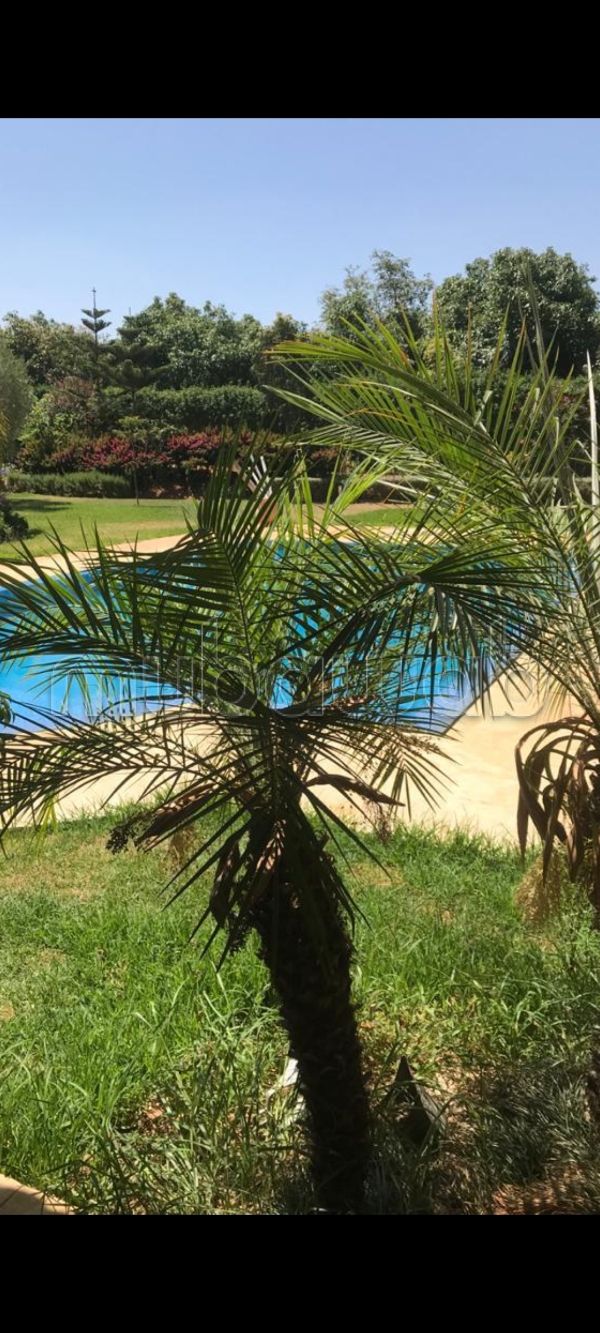 Fabulous house for sale in Souissi. Total area 1700 m². Large swimming pool, General air conditioning