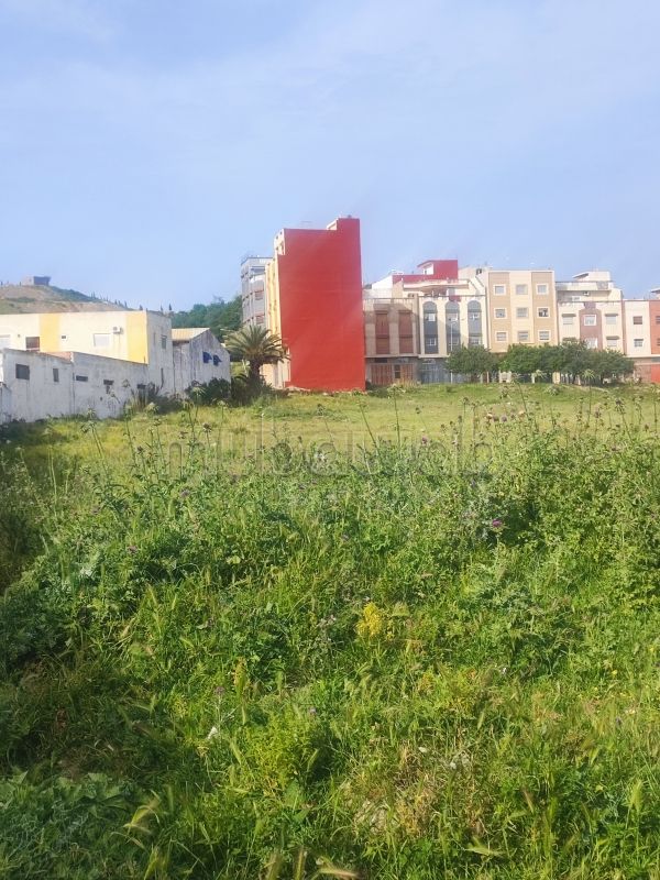 Huizen kopen in Mghogha. Totale oppervlakte 100 m². Gemeubileerd