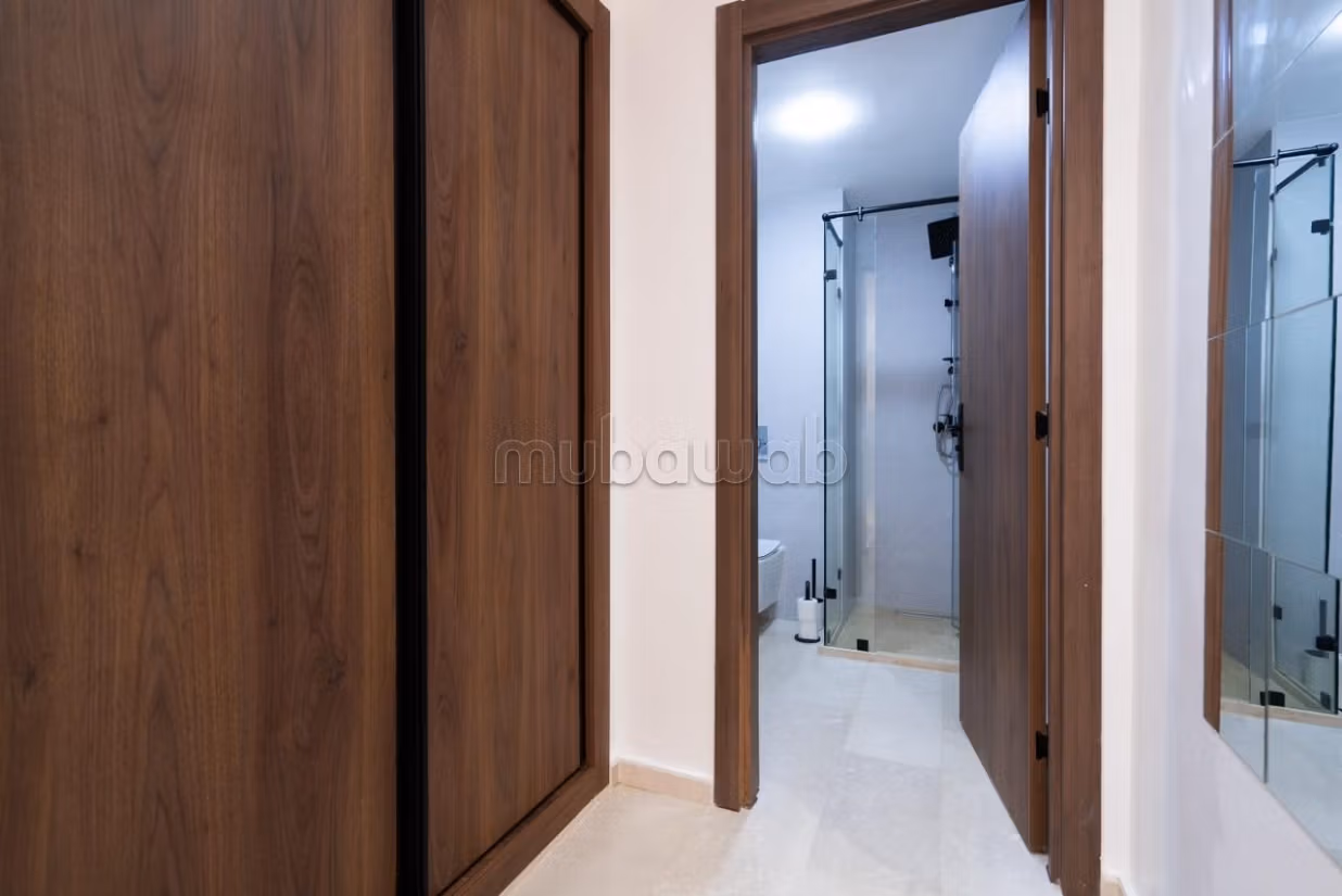 Location d'un appartement à Belvédère. 1 chambre. Bien meublé — 4