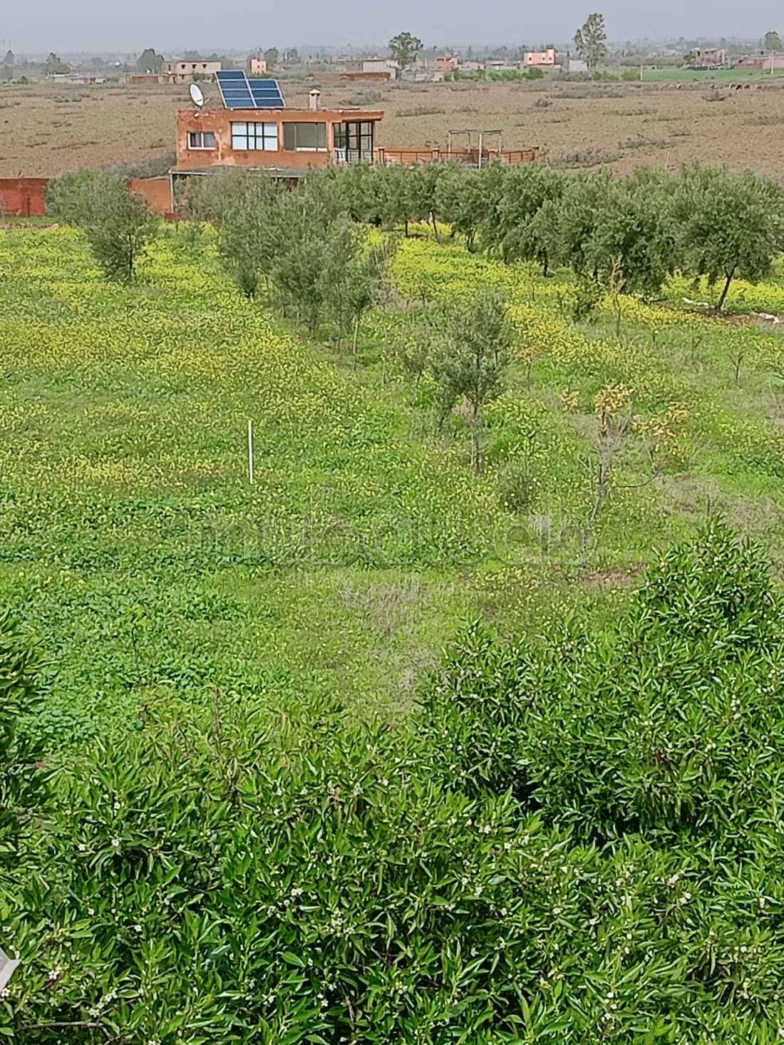 Ferme agricole a louer