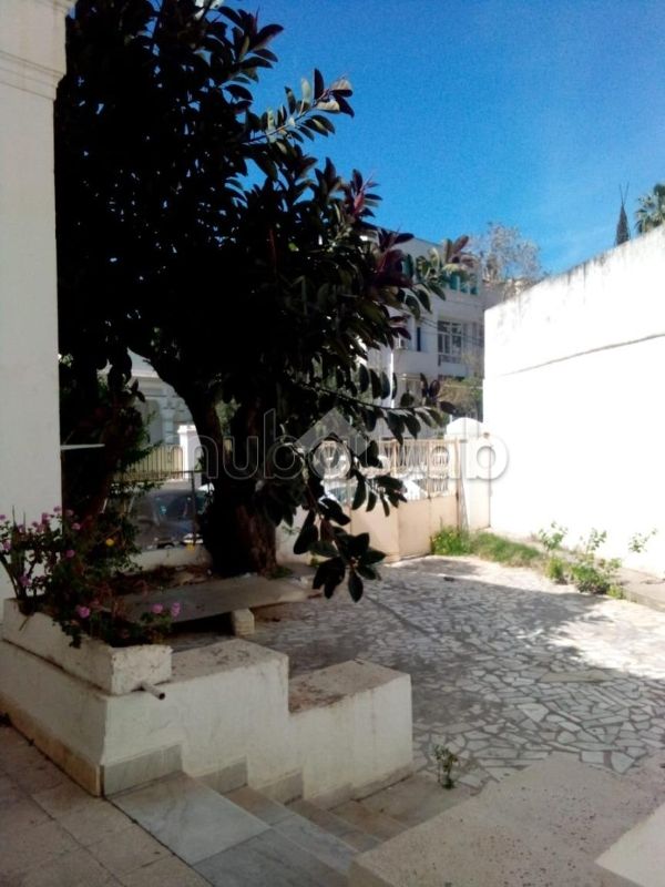 High quality house for sale. Large area 420 m². Green area