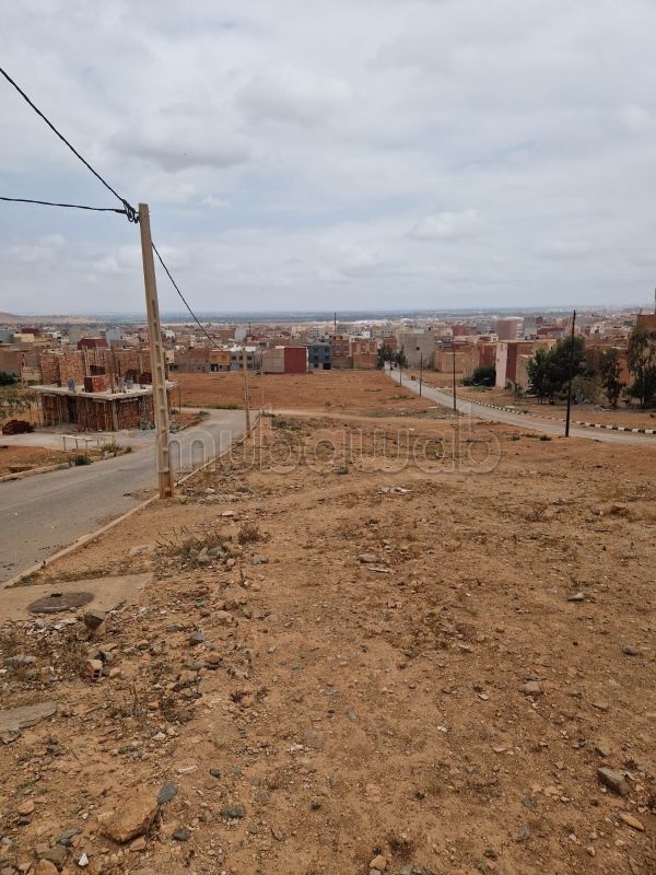 Vente terrain à Berkane. Superficie 100 m²