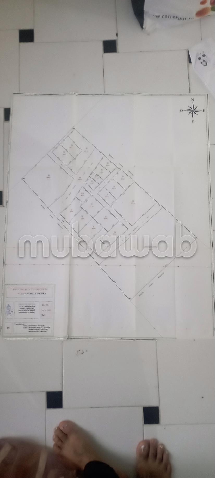 Terrain à chotrana 2