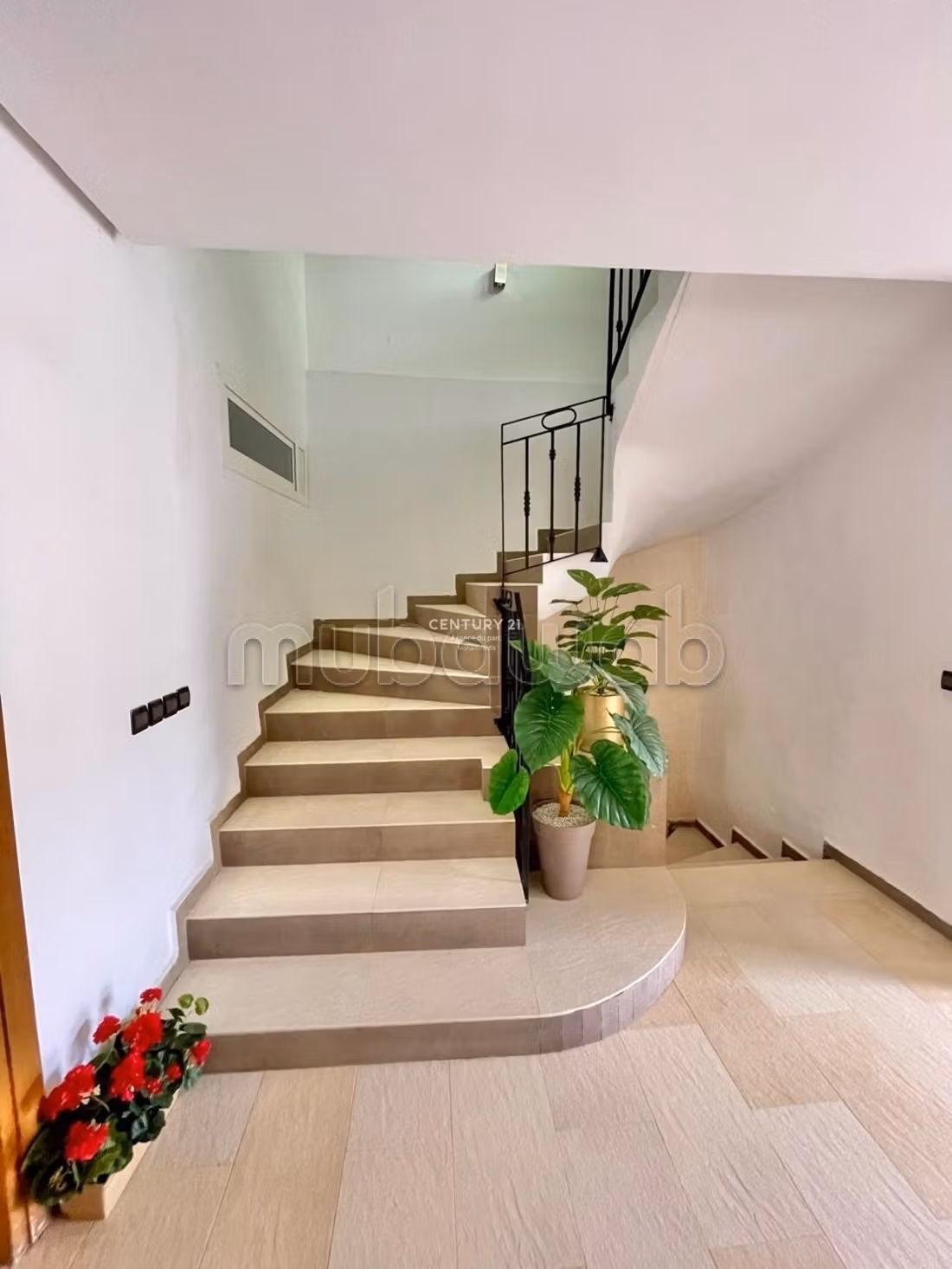 Villa 374 m² à Monica — 8