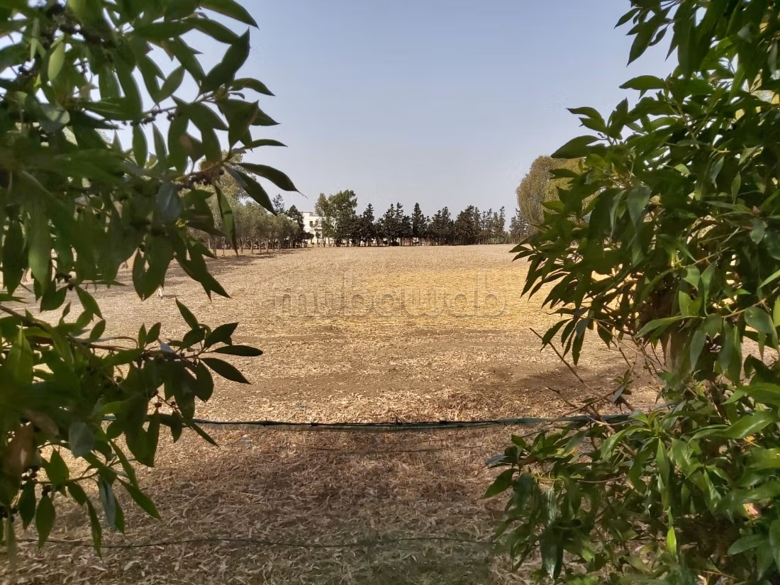 Vente ferme sortie bouznika