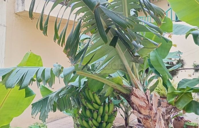 Villa independante a vendre a tanger surface 465m²