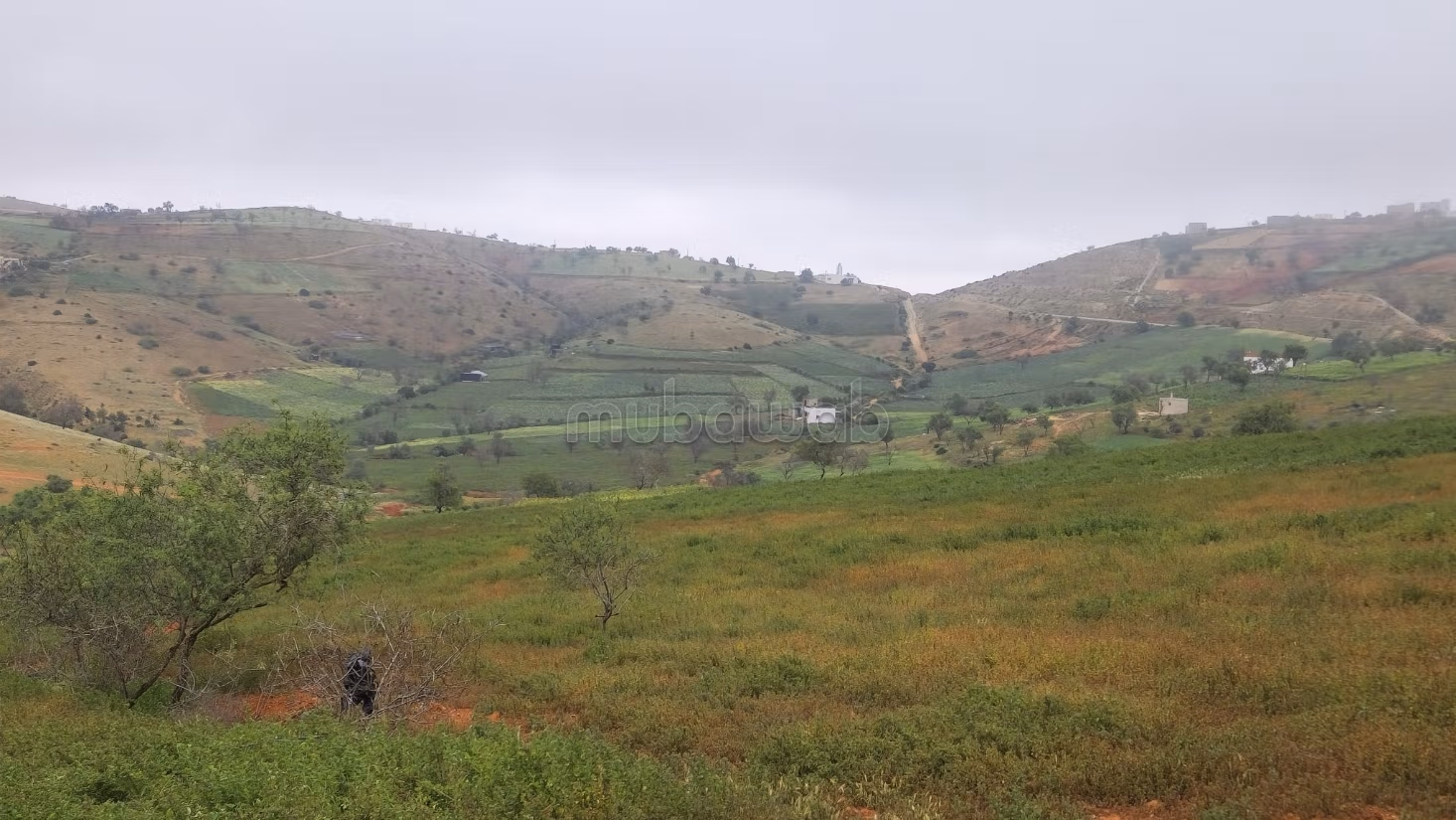 Achat de terrain à Al Hoceima. Surface de 28000 m²
