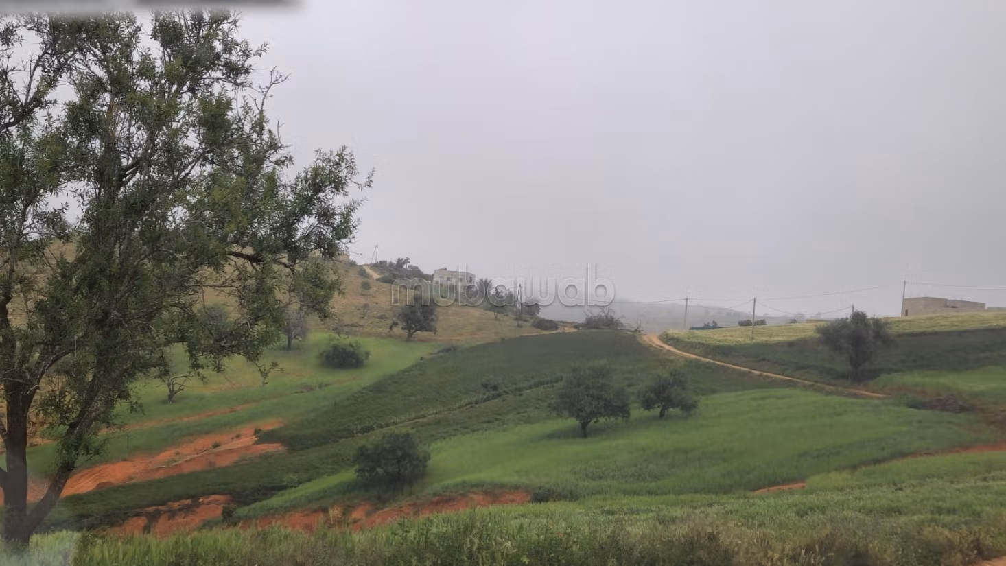 Achat de terrain à Al Hoceima. Surface de 28000 m²