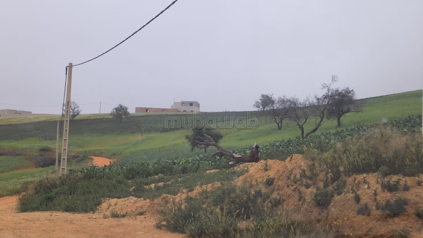 Achat de terrain à Al Hoceima. Surface de 28000 m²