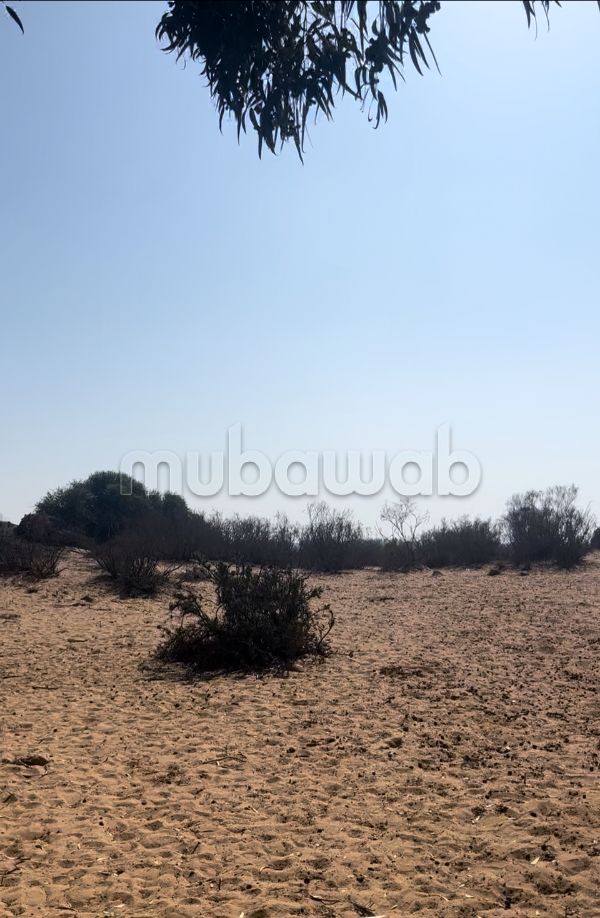 Terrain titré d’une surface de 8880m2 
bensergao