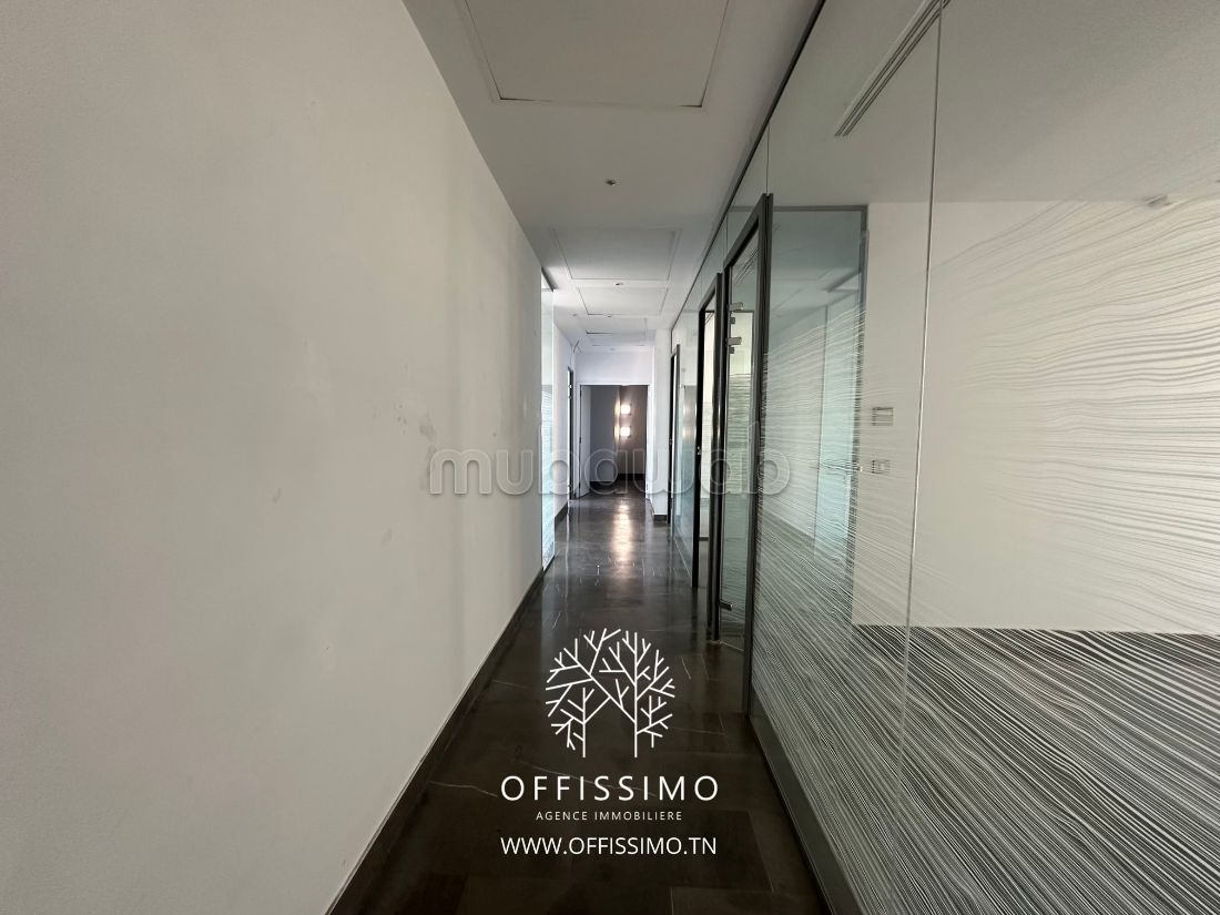 Location open space lac 2 les berges du lac 2