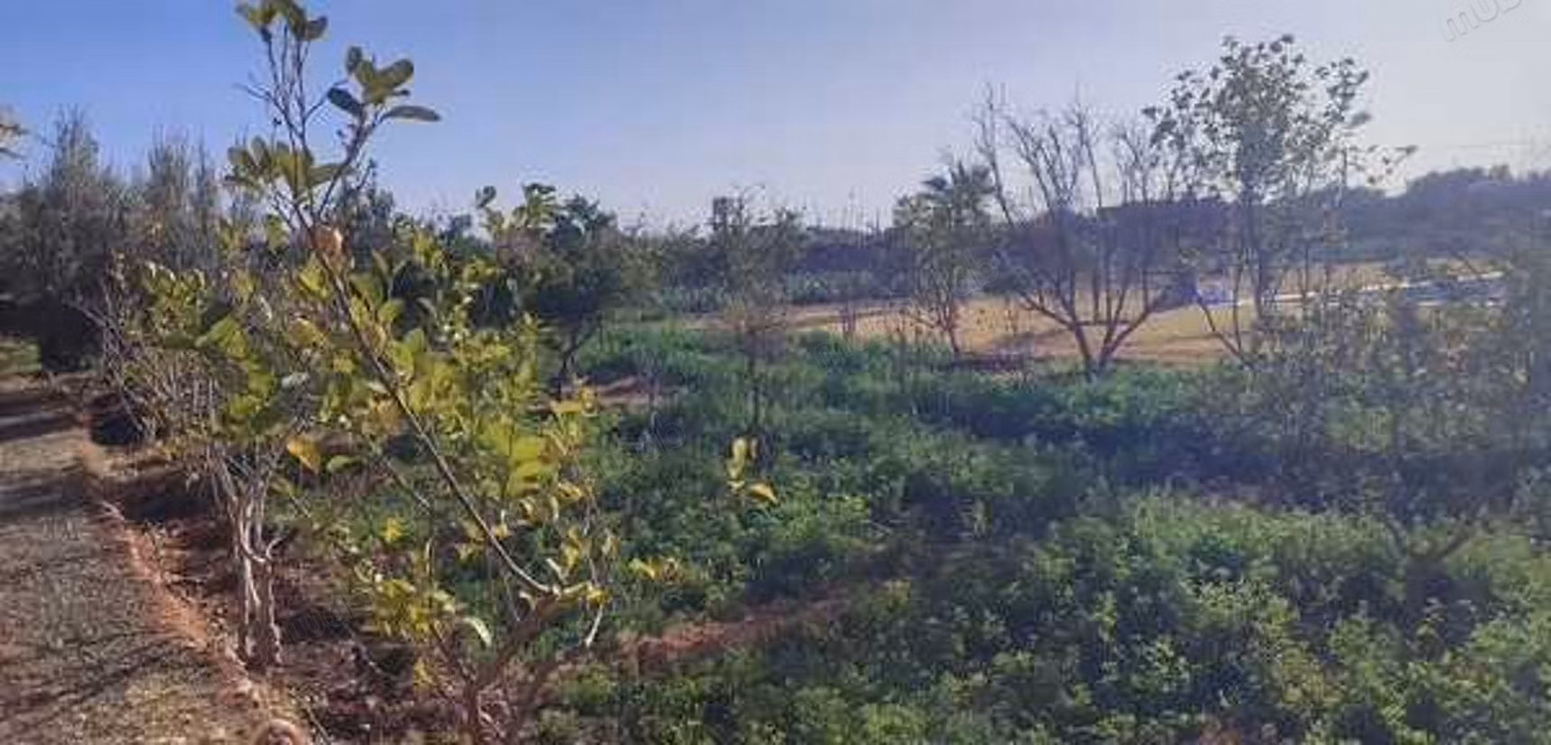 Villa à Vendre de 10732.0 m² à Marrakech, 
Route De Fes
