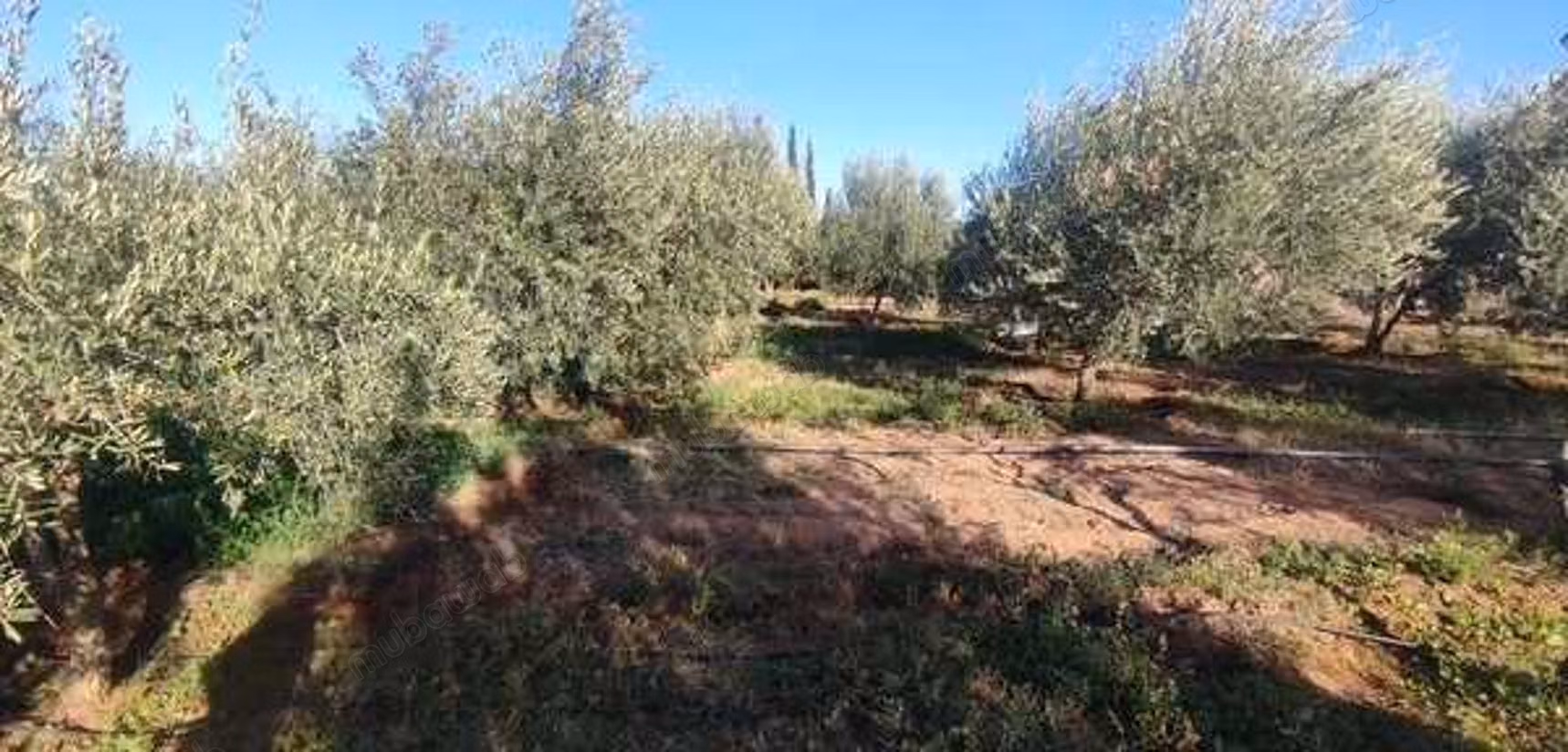 Villa à Vendre de 10732.0 m² à Marrakech, 
Route De Fes