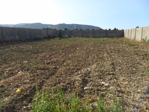 Acquista questo bel terreno a Metline. Superficie 1000 m²