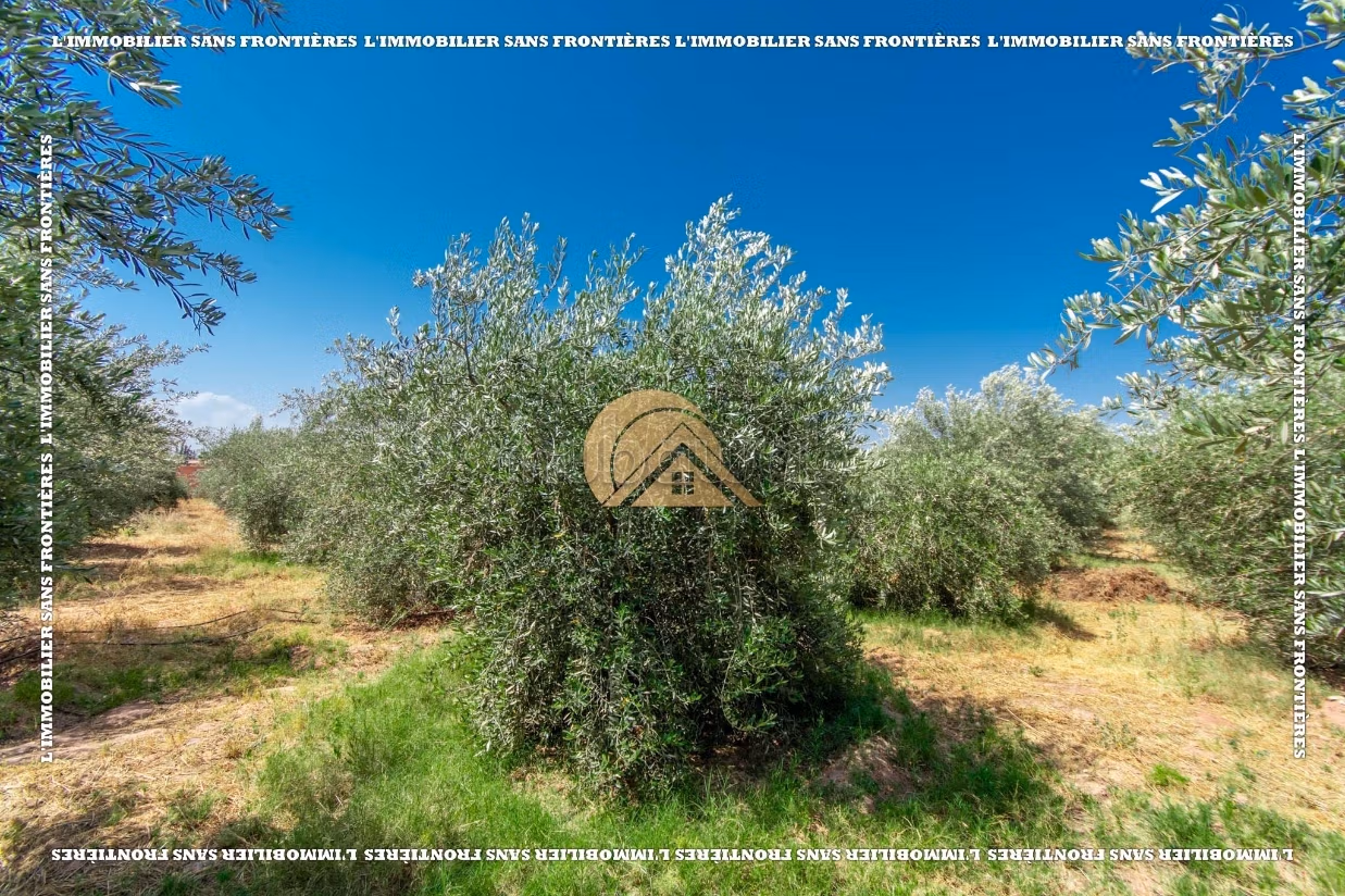 Villa arredatain Souihla, piscina privata pozzo 120 m, Marrakech: in affitto