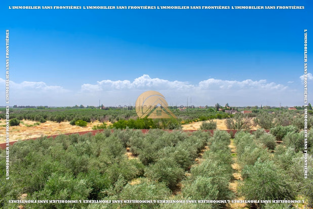 Villa arredatain Souihla, piscina privata pozzo 120 m, Marrakech: in affitto