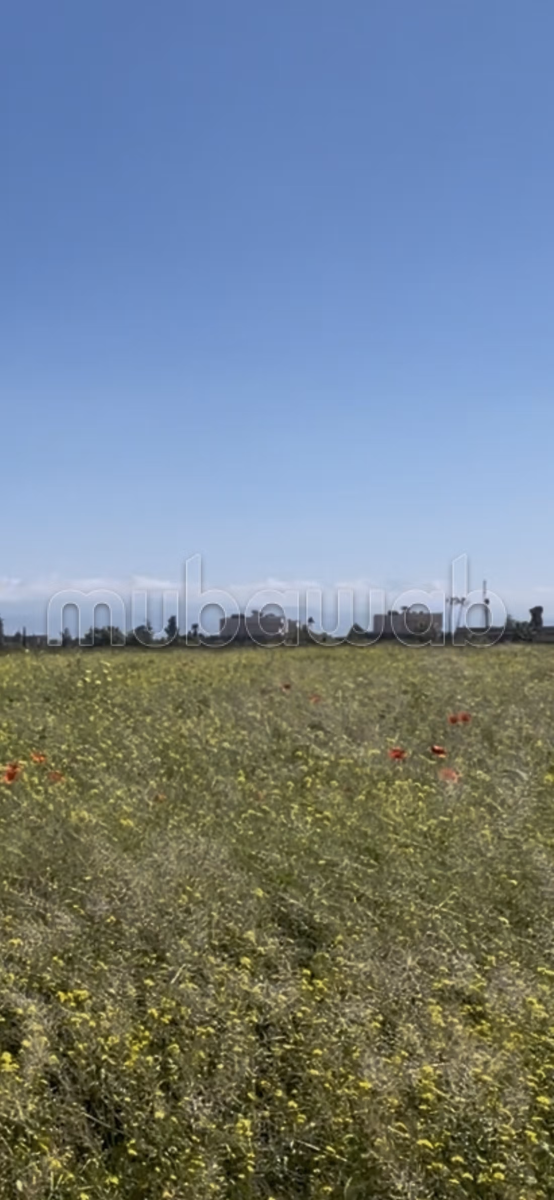 Land for purchase. Surface area 20000 m²