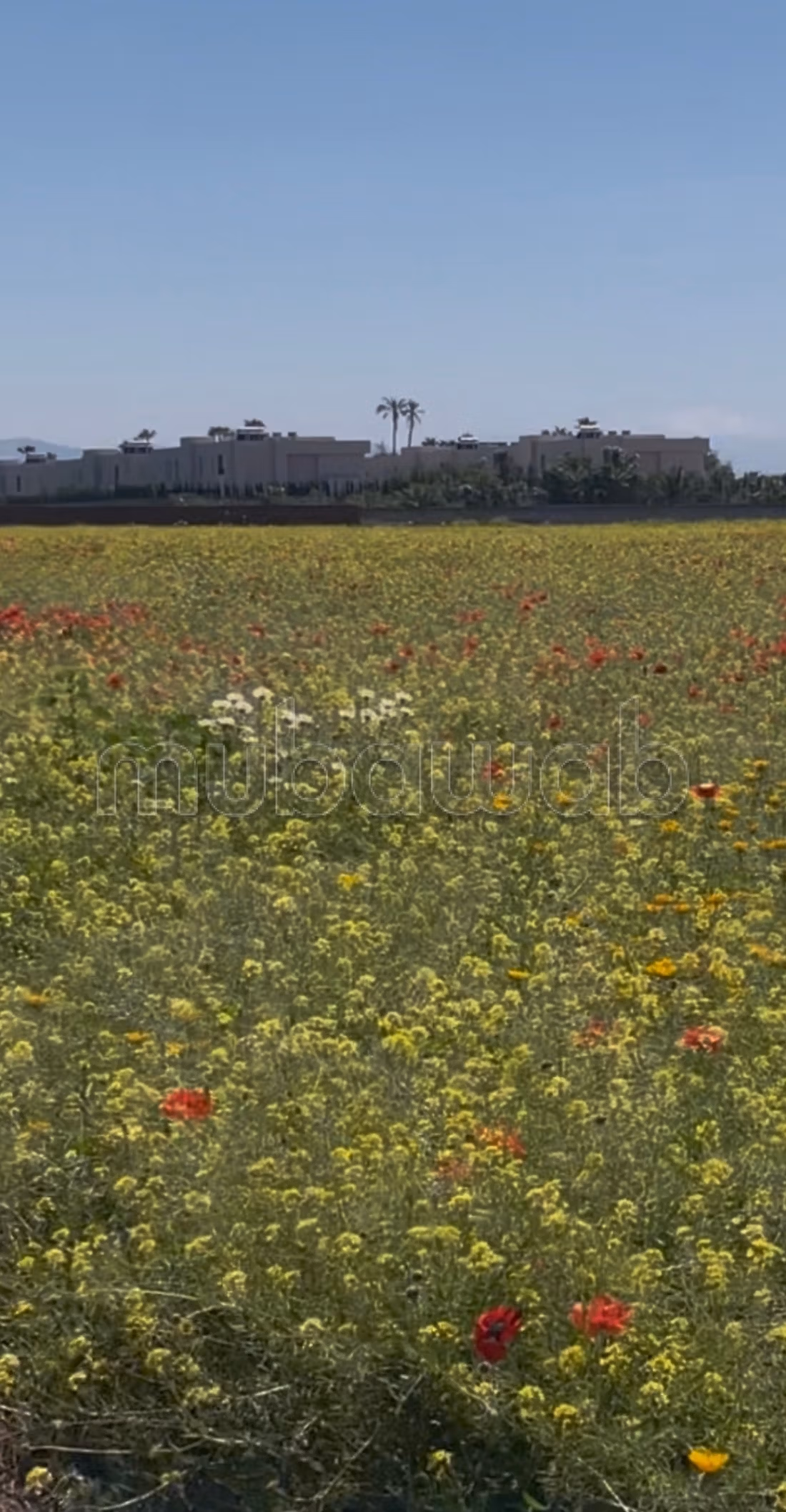 Land for purchase. Surface area 20000 m²