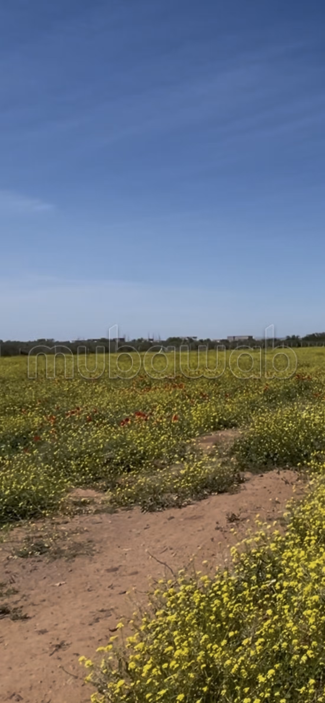 Land for purchase. Surface area 20000 m²