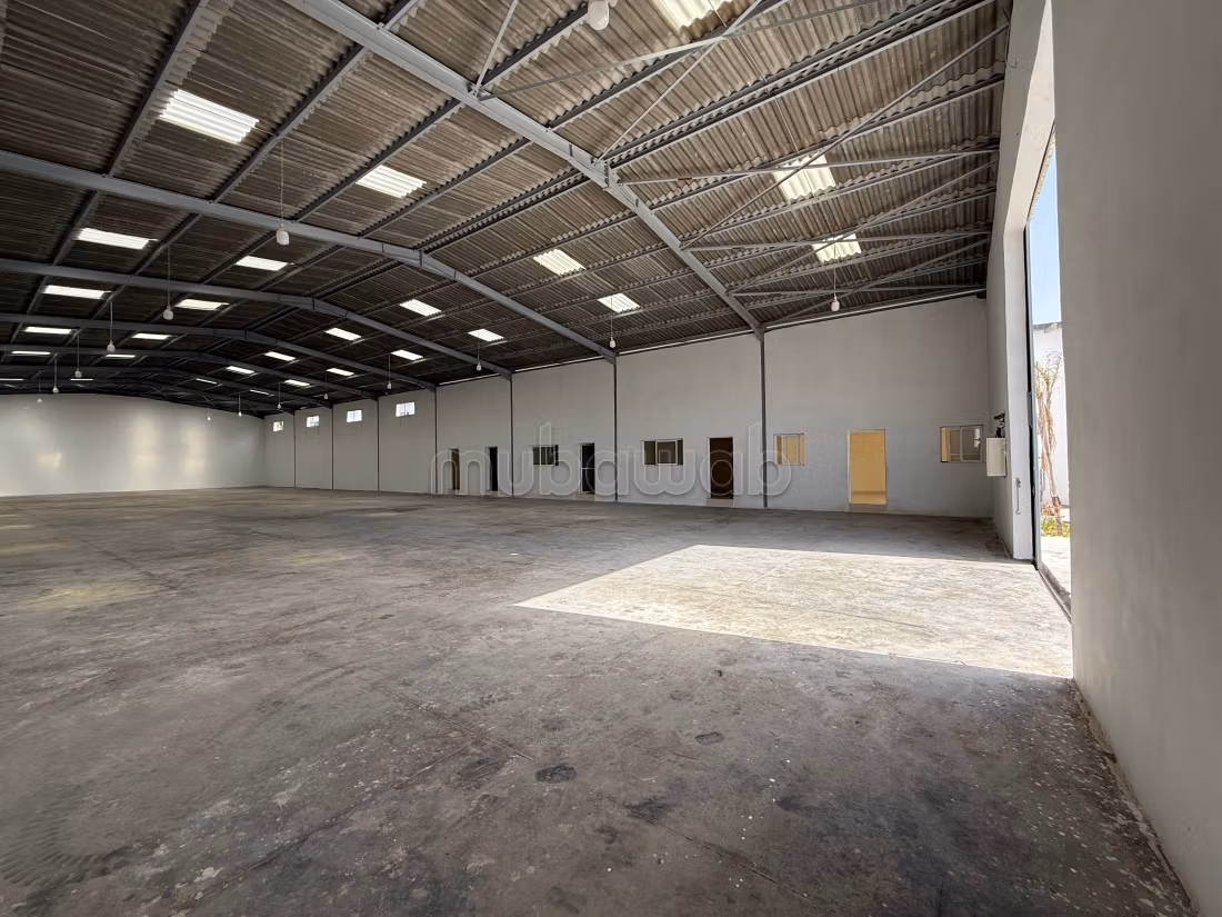 Hangar neuf de 1,000 m² à louer à Kénitra