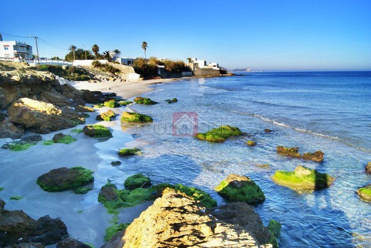 Bel terreno in vendita