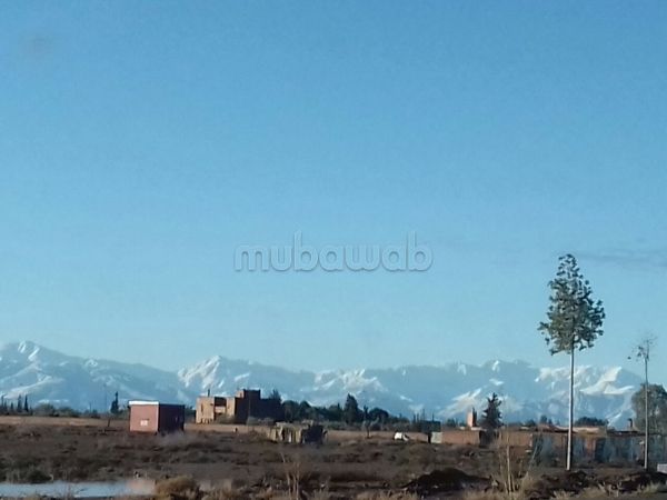 Terrain titré 3123 M2 route Amizmiz Km18