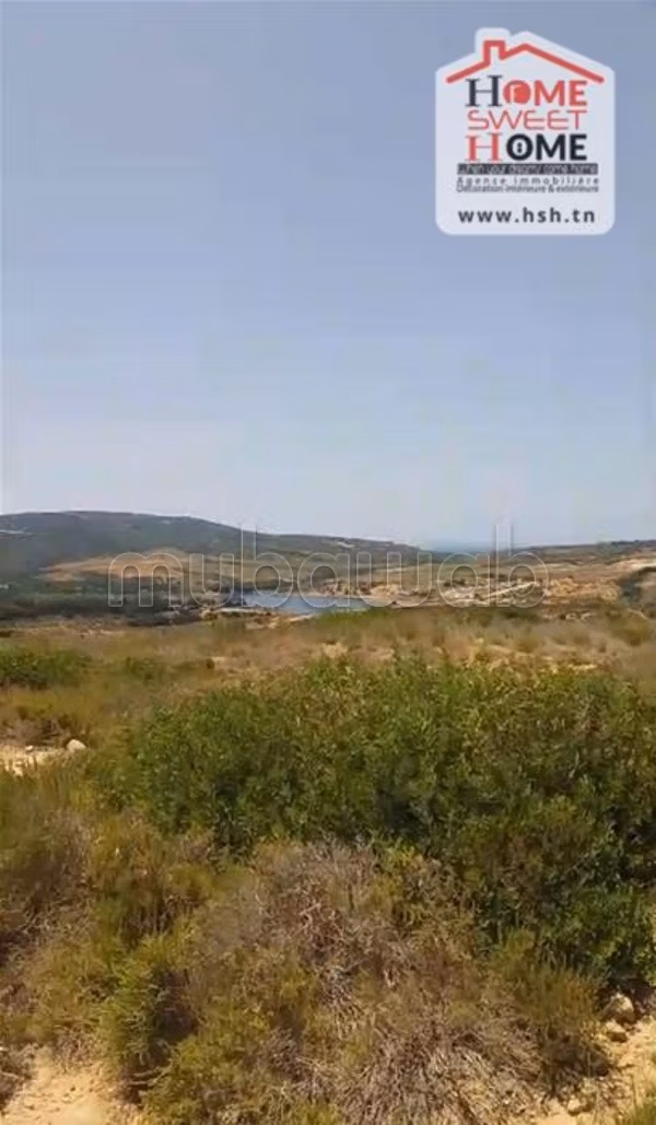 Vendita terreno. Superficie 4000 m²