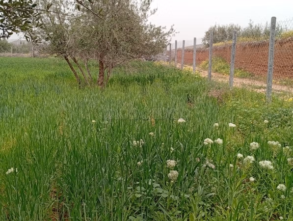 Compra venta de terrenos en Route de Fez. Gran superficie 7000 m²