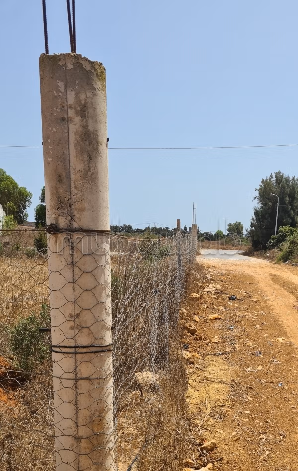 Beautiful land for sale. Area of 1000 m²