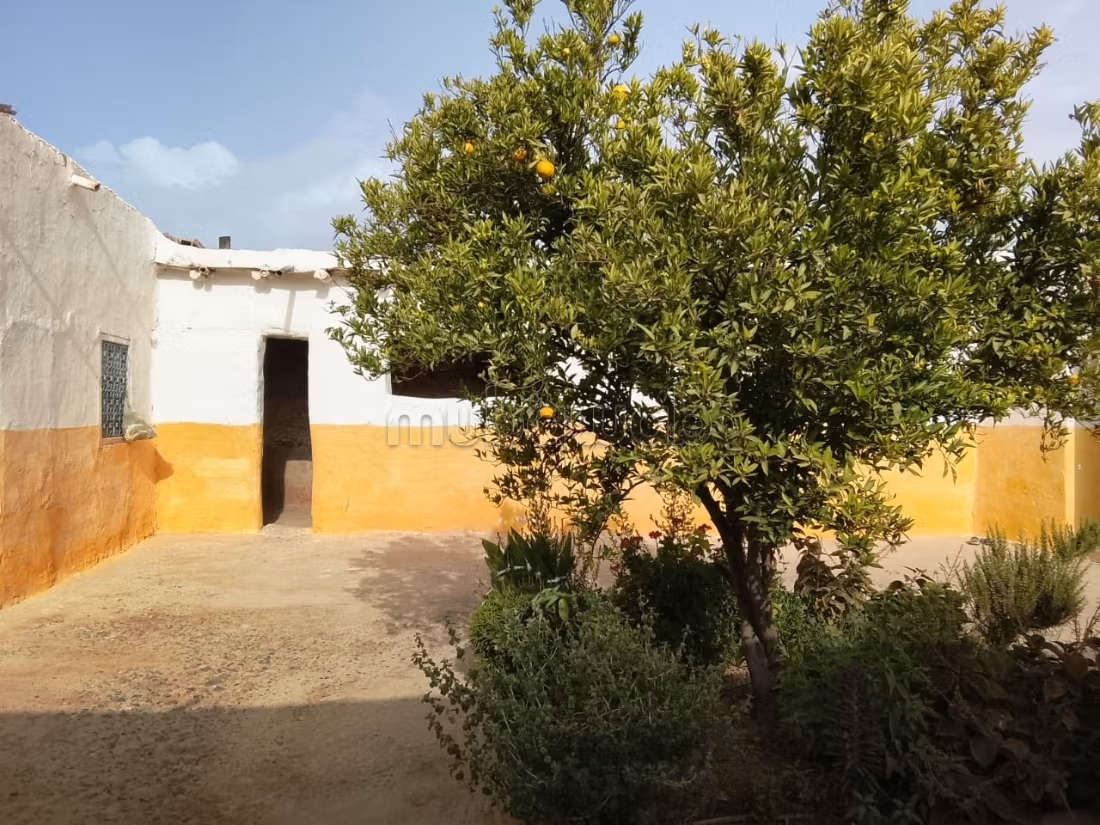 Kopen: riads. 5 Ruimtes. Gemeubileerd