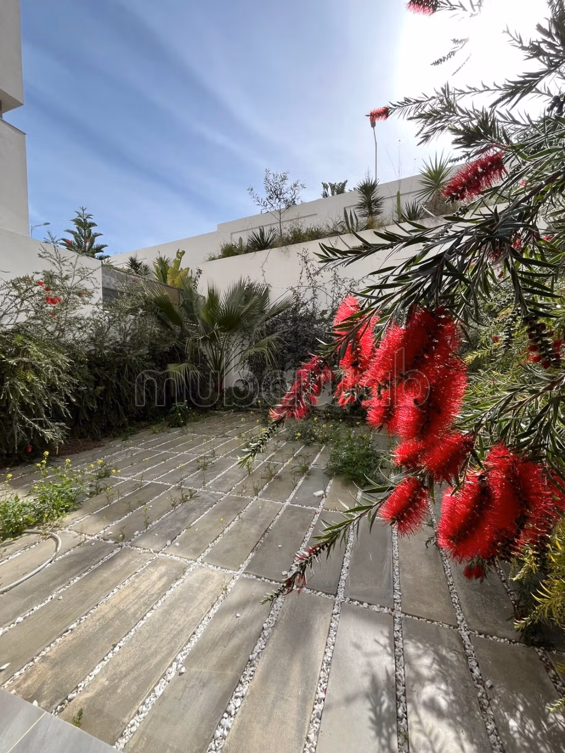 Great apartment for rent in Gammarth Supérieur. Small area 200 m². Caretaker and swimming pool