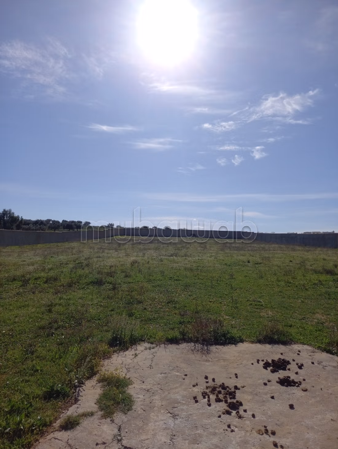 Terrain idéal pour projet immobilier ou industriel