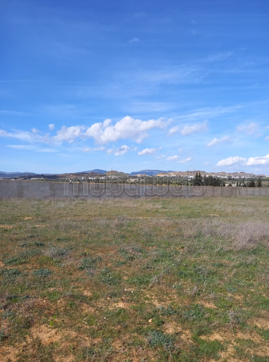 Terrain idéal pour projet immobilier ou industriel