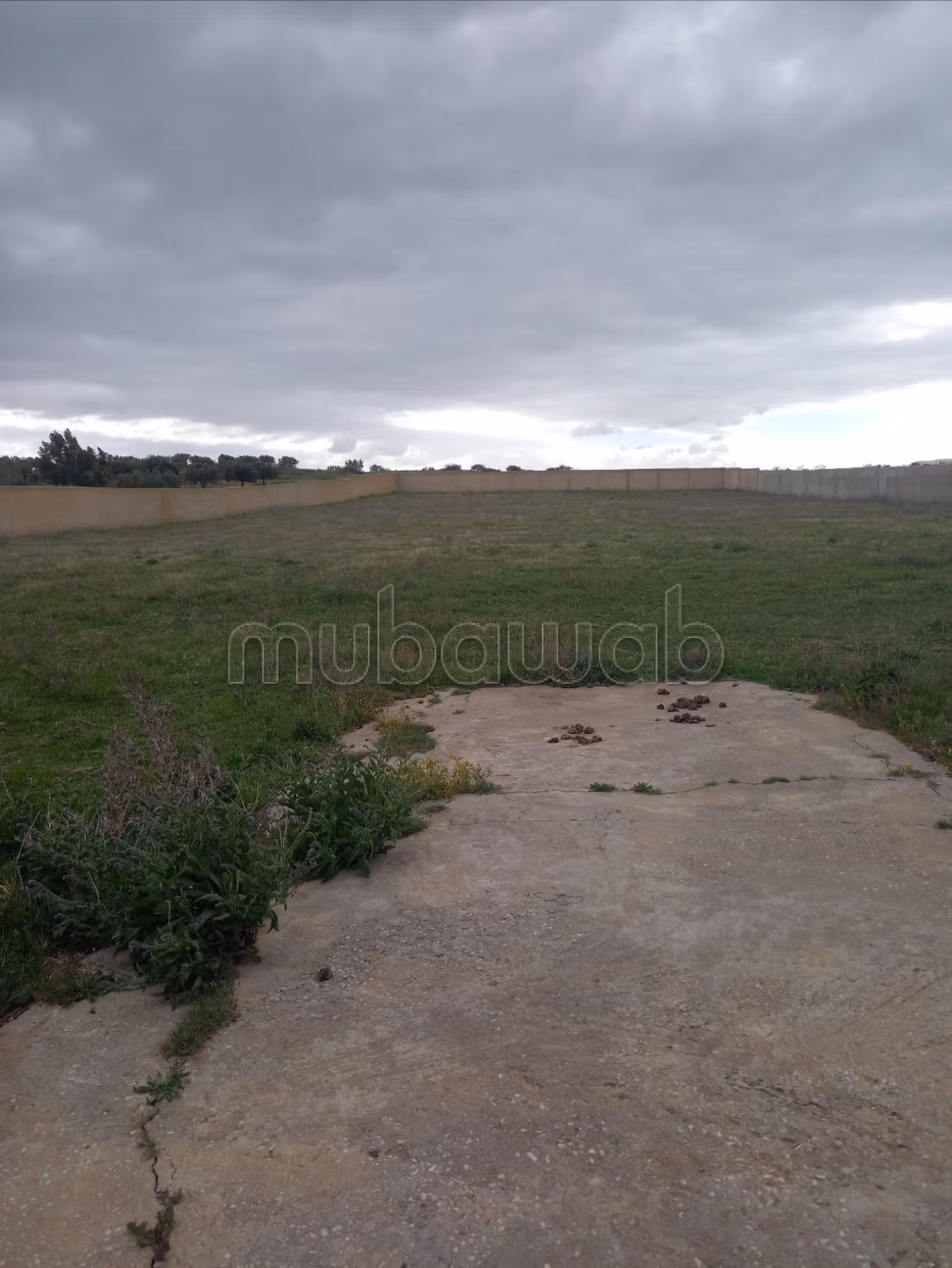 Terrain idéal pour projet immobilier ou industriel