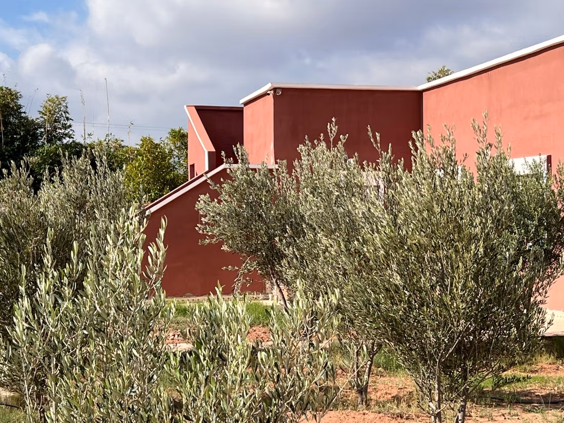 Maison de compagne 35km d'agadir
