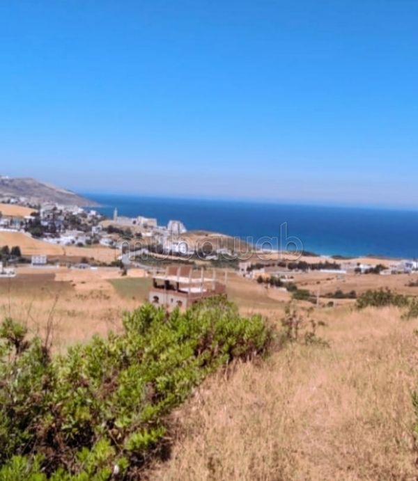 Nu kopen: land. Totale oppervlakte 8000 m²