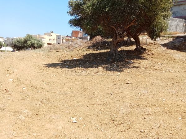 Terreno in vendita. Superficie totale 200 m²