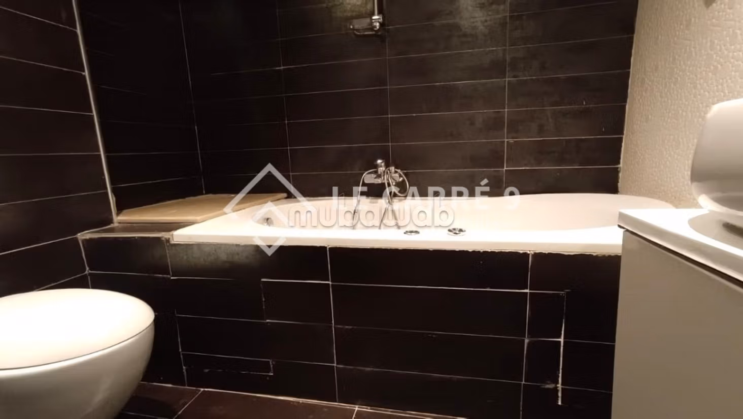A louer un loft S1 meublé au Lac 2