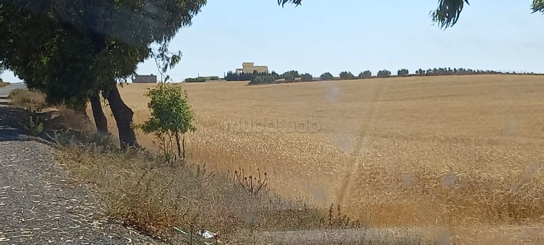 Terreno en venta. Superficie 145000 m²