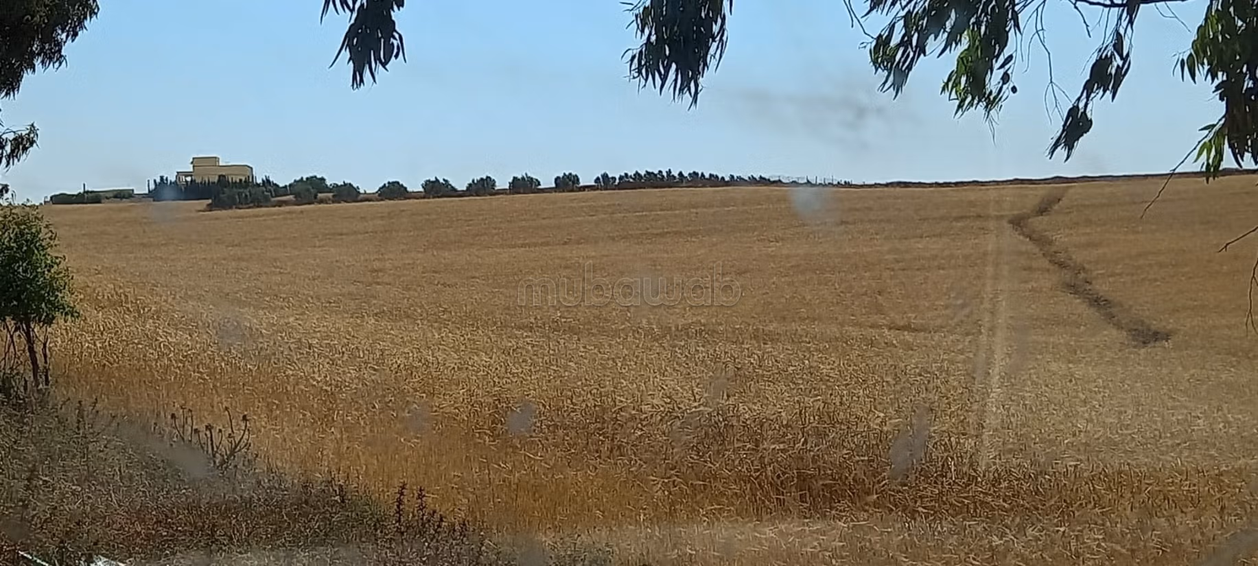 Terreno en venta. Superficie 145000 m²