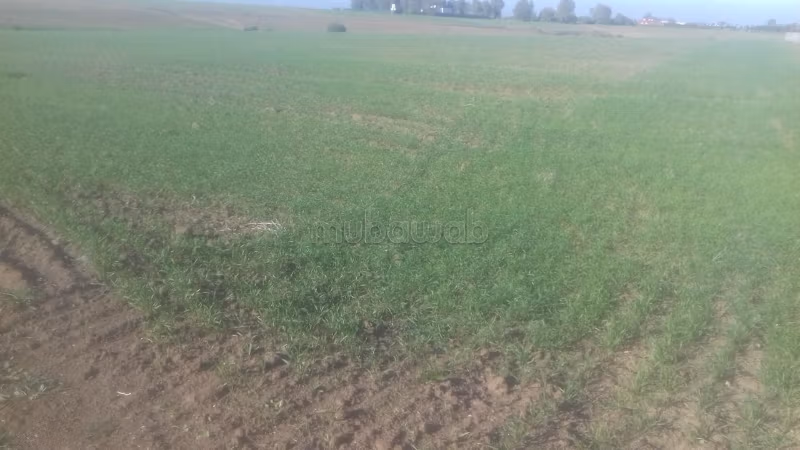 Se vende terreno en Lot Wouroud. Pequeña superficie 60000 m²