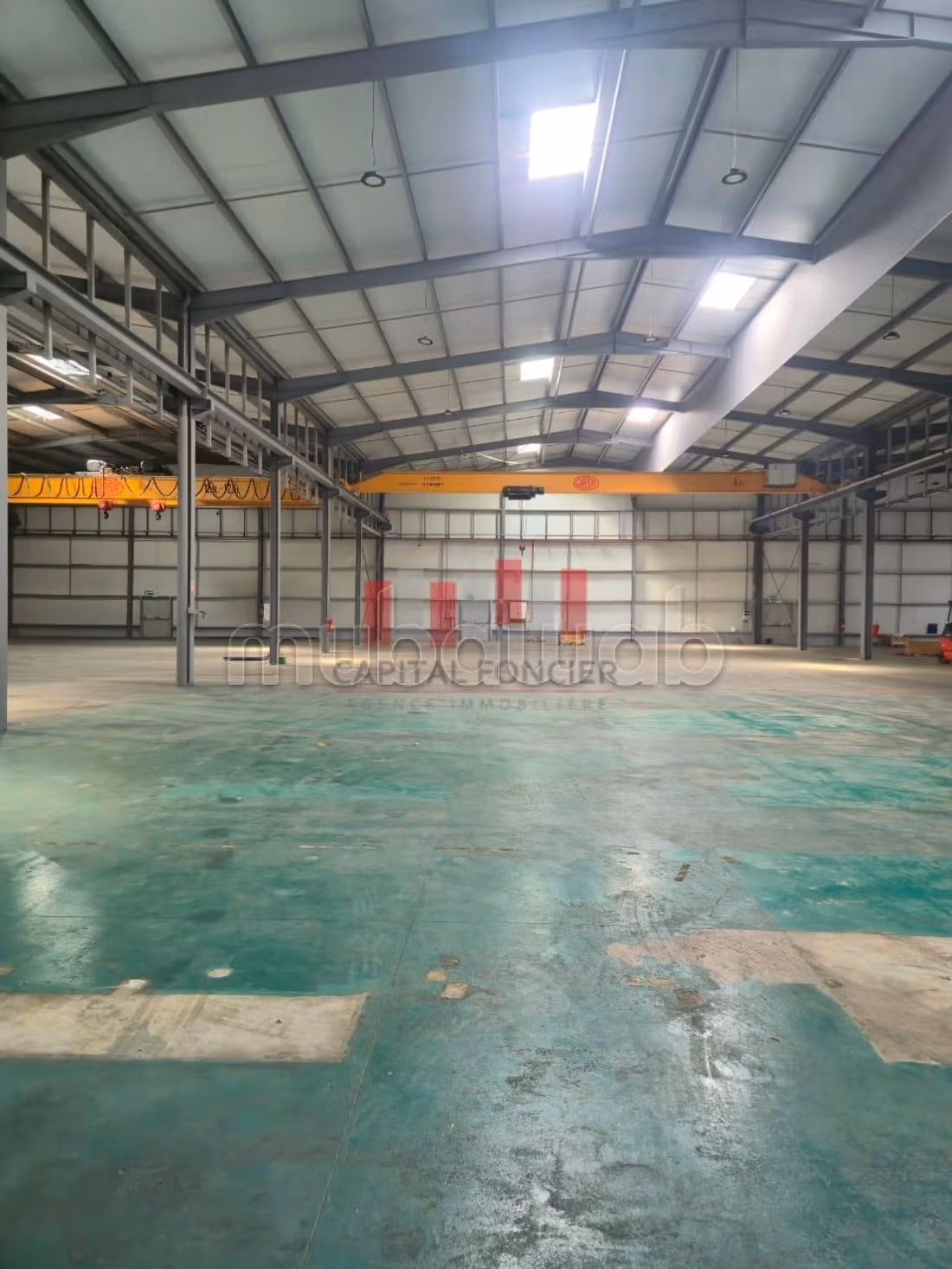 Affitta il locale commerciale perfetto per te. Superficie di 5000 m²