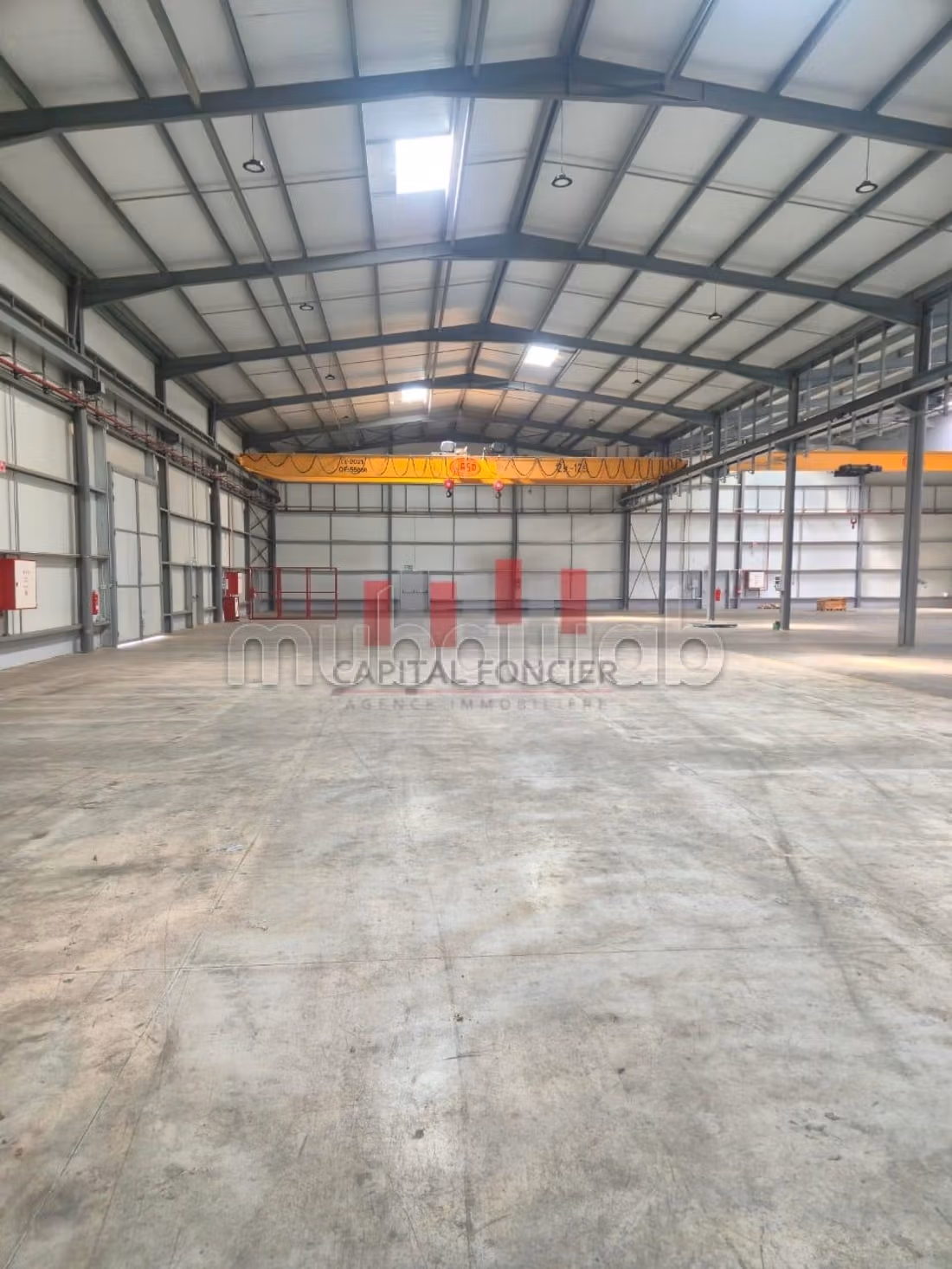Affitta il locale commerciale perfetto per te. Superficie di 5000 m²