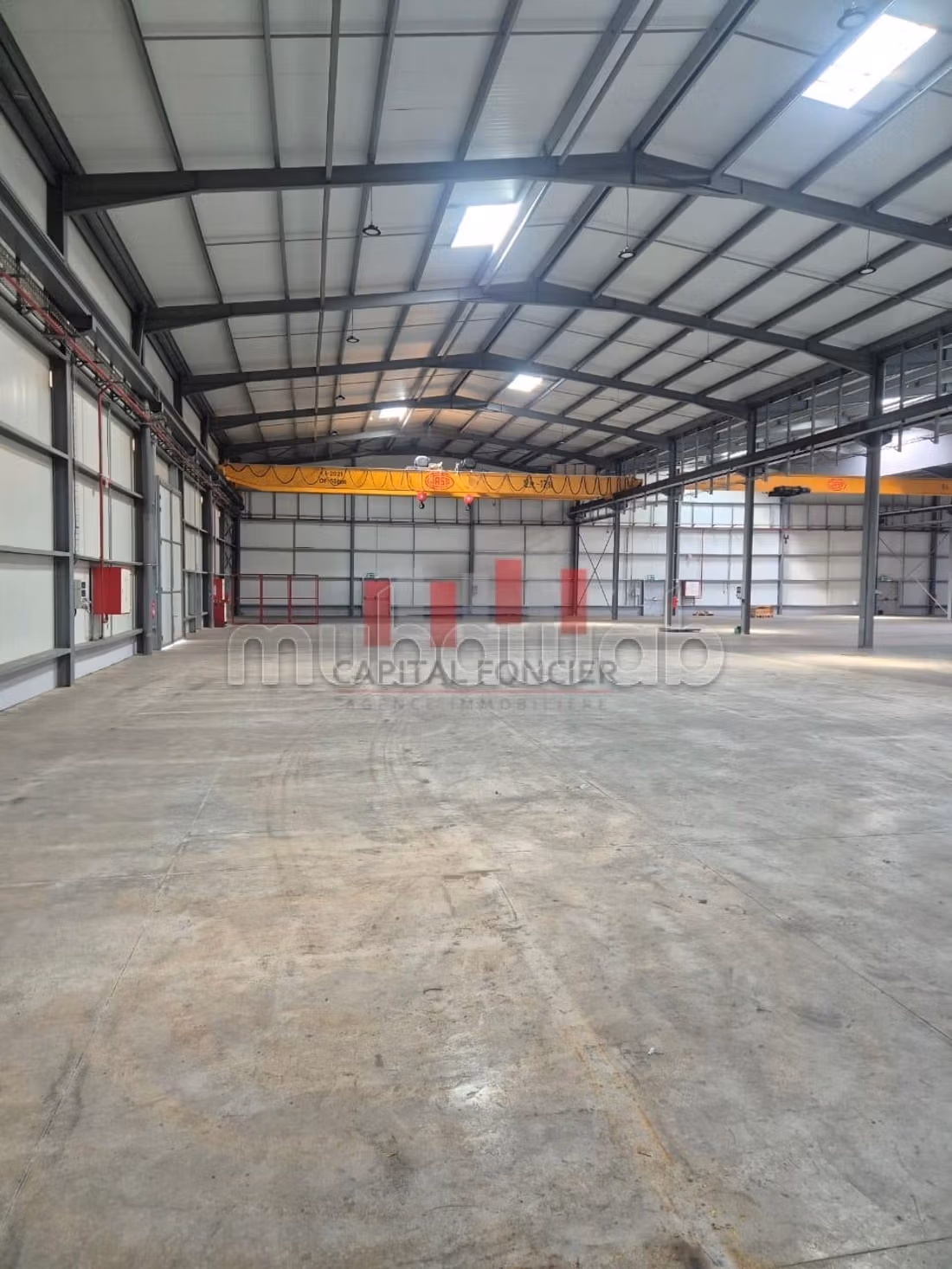 Affitta il locale commerciale perfetto per te. Superficie di 5000 m²